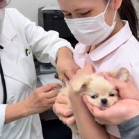 過剰な応援にホッコリ♡