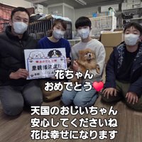 犬を囲んで記念撮影をする家族たち