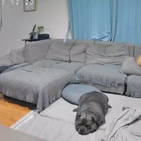 最期まで母でした