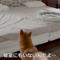 「ここにもいない…」
