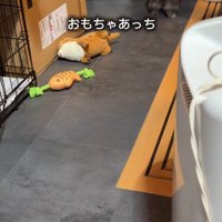 暗いところは怖くて行けない…