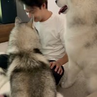 みんな、パパにベッタリ