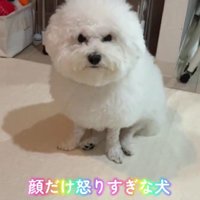 毛が伸びると…