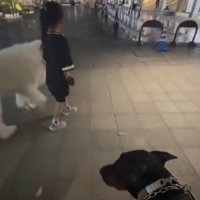 デュークくんは見守りへ