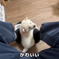 また甘えにくる子も♡