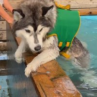 必死にプールから脱出