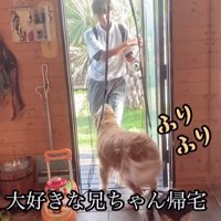 お兄ちゃん帰宅時のボスくん＆ルナちゃん