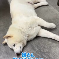 「よく働いたわ～」