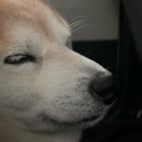 「楽しかったなあ…」