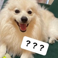 1歳を迎えたころ…