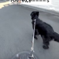 「なんでいるのーー！？」
