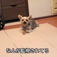 幸せそうな姿にホッコリ