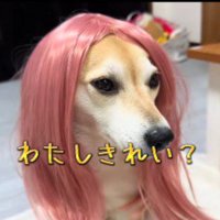 ギャル風に変身！！