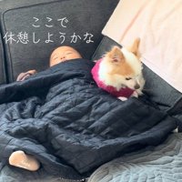 一緒にお昼寝することに