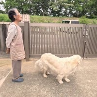 小学生の見守りをすることも