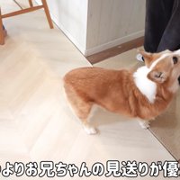お兄ちゃんを見送りたいけど…