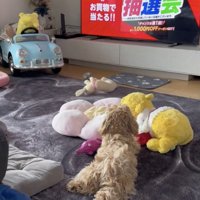 リラックスタイム