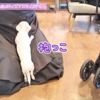 再び甘えん坊モードに♡