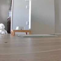 ペットカメラで確認してみた