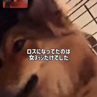 ママさん旅行中のラッキーくん⑩