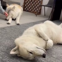 順番待ちをするナオちゃん