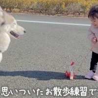 ふり返っておもちゃの犬を見つめる女の子