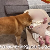 みんなで赤ちゃんの見守り♡