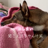 「おやつ」の声に反応！！