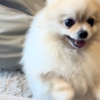 「ママだいすき！！」