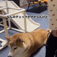 検査内容は謎です