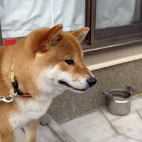 「絶対また来て…」