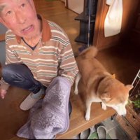 2人で仲良くお出迎え♡