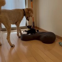 ワンプロを叩き込む