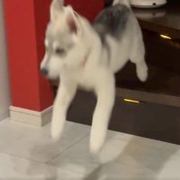 とうっ