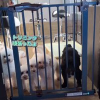 はるちゃん＆なつちゃんのお迎え4