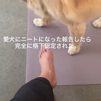 ニートになったと報告したら…