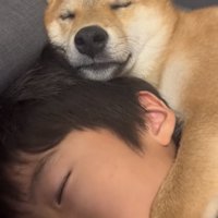 前足を添える犬