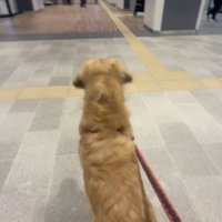 ライチくん、駅に到着