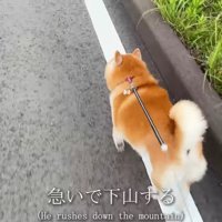 なにかを察して急いで下山