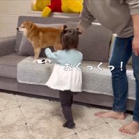 やっと取り返せた♪