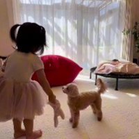 2歳の女の子に成長