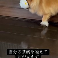 感覚を研ぎ澄ませて…