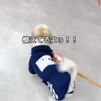 尻尾ブンブンッ