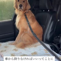「思いついた！」