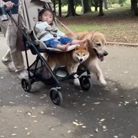 帰りはベビーカーで…♪