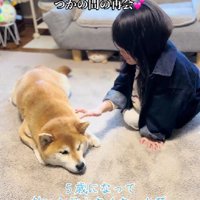 あたたかな時間の流れ