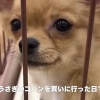 出会いは突然訪れた