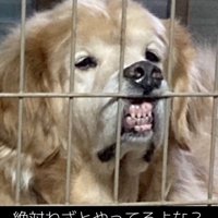 静かに不満をアピール中