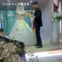 抱っこされる犬4