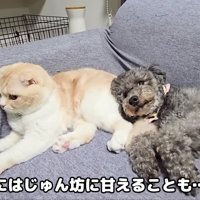 とっても仲良しな関係に…♡